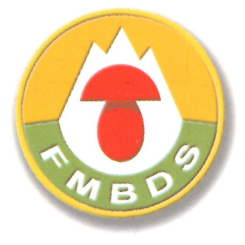 Logo FMBDS